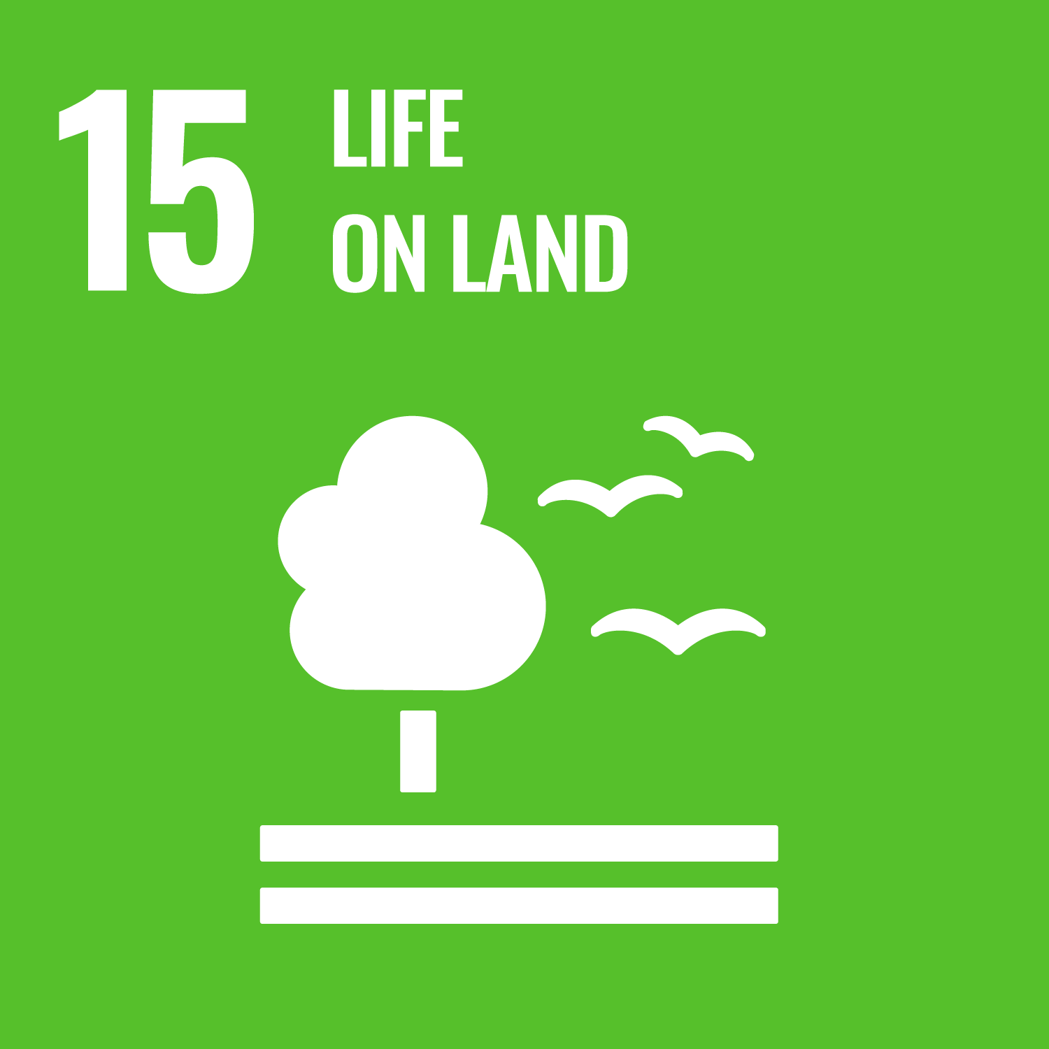 SDG 15: Ekosistem Daratan